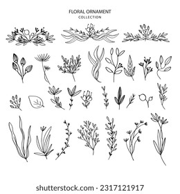 Hand drawn floral ornaments. Decorative flower, leaf and branch for wedding invitation design. Nature elements vector set