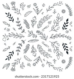 Hand drawn floral ornaments. Decorative flower, leaf and branch for wedding invitation design. Nature elements vector set