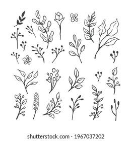 Hand drawn floral ornaments. Flowers and leaves doodle vector collection. Decorative plants illustrations. Nature decoration drawings handmade style.