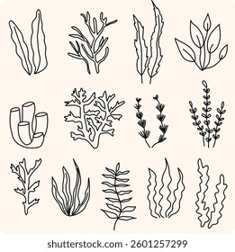 Hand drawn floral ornaments. Flowers and leaves doodle vector collection. Decorative plants illustrations. 