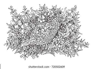 Hand Drawn floral ornaments, flowers and bird, vector illustration