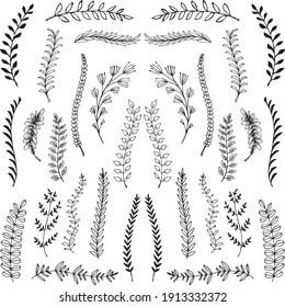 Hand drawn floral ornaments scroll shape