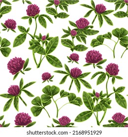 Hand drawn floral pattern alfalfa