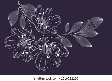 Hand drawn floral pattern with lily flowers. Vector illustration. Element for design.