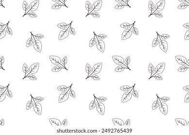 Diseño de Vector de patrón floral dibujado a mano. Adorno simple con planta y hoja.