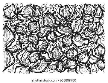 Hand drawn floral pattern. Vector illustration. Sketch for coloring book.
