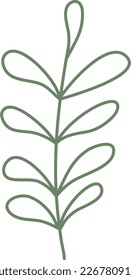 Hand drawn floral plant