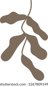 Hand drawn floral plant element, botanical leaves art in a glyph illustration design