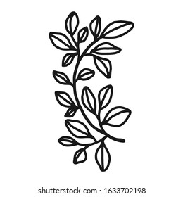 Hand drawn floral, plant elements: leaf and branch. Cut isolated vector illustration for frame, border, ornament design. Doodle sketch style. Unique decoration for greeting card and wedding invitation
