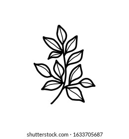 Hand drawn floral, plant elements: leaf and branch. Cut isolated vector illustration for frame, border, ornament design. Doodle sketch style. Unique decoration for greeting card and wedding invitation