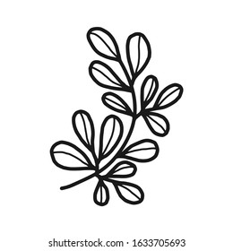 Hand drawn floral, plant elements: leaf and branch. Cut isolated vector illustration for frame, border, ornament design. Doodle sketch style. Unique decoration for greeting card and wedding invitation