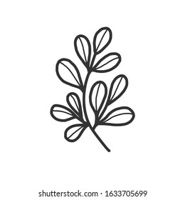 Hand drawn floral, plant elements: leaf and branch. Cut isolated vector illustration for frame, border, ornament design. Doodle sketch style. Unique decoration for greeting card and wedding invitation