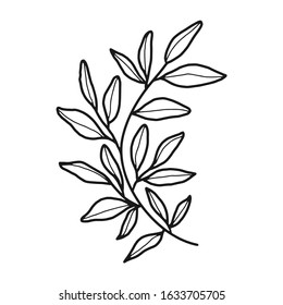 Hand drawn floral, plant elements: leaf and branch. Cut isolated vector illustration for frame, border, ornament design. Doodle sketch style. Unique decoration for greeting card and wedding invitation