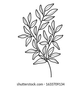 Hand drawn floral, plant elements: leaf and branch. Cut isolated vector illustration for frame, border, ornament design. Doodle sketch style. Unique decoration for invitation or logo