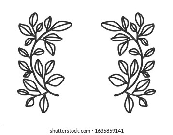 Hand drawn floral, plant elements: leaf and branch. Isolated vector illustration for frame, border, ornament design. Doodle sketch. Unique decoration for greeting card and wedding invitation