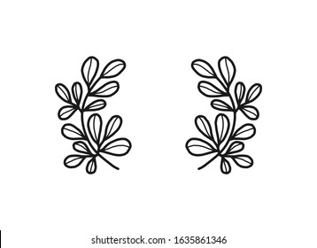Hand drawn floral, plant elements: leaf and branch. Illustration for frame, border, ornament design. Doodle sketch. Unique decoration for greeting card and wedding invitation