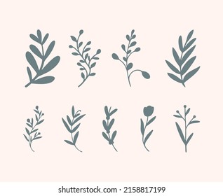 Hand drawn floral plants. Botanical set of sketch flowers and branches.