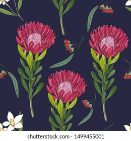 hand drawn floral seamless pattern with australia red protea and gum flower