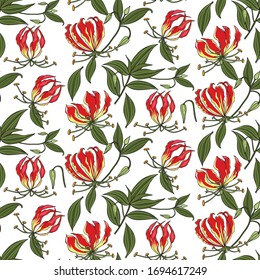 hand drawn floral seamless pattern of flame lily flower on white background
