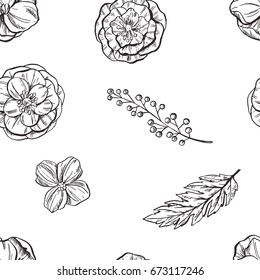 Hand drawn floral seamless pattern. Black and white. Vector