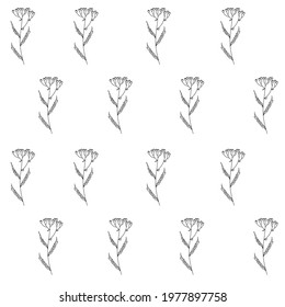 Hand Drawn Floral Seamless Vector Pattern. Black Sketched tansy flowers.