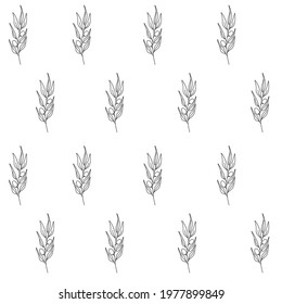 Hand Drawn Floral Seamless Vector Pattern. Black Sketched Olive Branches.