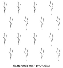 Hand Drawn Floral Seamless Vector Pattern. Black Sketched Muscari.