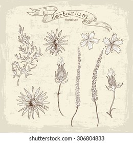 Hand drawn floral set. All elements of composition located on separate layers and can be easy editable