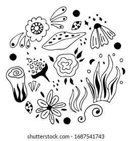 Conjunto de elementos florales dibujados a mano para el diseño. Ilustración vectorial.