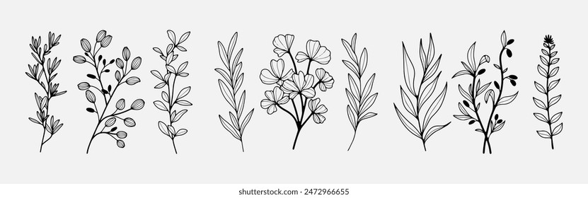 Hand drawn floral set with various wildflowers, branches and plants. Outline of flowers and plants.