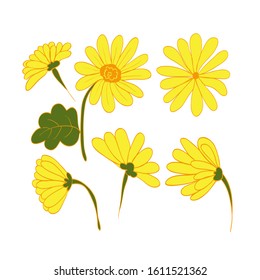 hand drawn floral set vector. flower element. decorative element. line vector. seamless floral. colorful abstract floral design.  abstract natural shapes in hand drawn style.