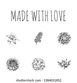 Hand drawn floral sketches set. Collection of marigold, lilac, lotus and other sketch elements.