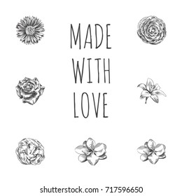Hand Drawn Floral Sketches Set. Collection Of Daisies, Crocus, Camellia And Other Sketch Elements.
