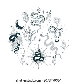Hand drawn сelestial floral snakes frame. Mystical print with serpents and branches for  t-shirt design, fabric, cards and covers.