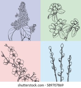 Hand drawn floral spring cards with botanical natural blooming apple cherry willow and lilac branches vector illustration   