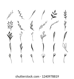 Hand drawn floral vector elements. Wild and free. Perfect for invitations, greeting cards, quotes, blogs, Wedding Frames, posters. Isolated