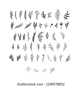 Hand drawn floral vector elements. Wild and free. Perfect for invitations, greeting cards, quotes, blogs, Wedding Frames, posters. Isolated