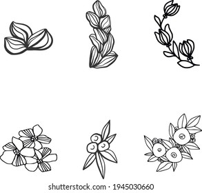 Hand drawn floral vector elements. Wild and free. Perfect for wreaths, invitations, greeting cards, quotes, blogs, wedding frames, posters. Isolated. Botanical line art elements.