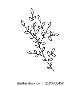Hand drawn floral vector elements. Black simple branch and leaves on white background