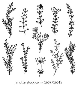 hand drawn floral vector set