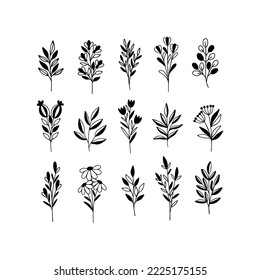 Conjunto de vector floral dibujado a mano de flor silvestre, hierba, rama. Hoja negra, silueta floral aislada en fondo blanco. Ilustración botánica de jardín para huella de hierbas, tarjeta de boda, invitación.