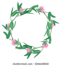 Hand drawn Floral wreath with clover flower isolated on white background. Spring summer decor frame. Vector illustration. Design element for invitations, greeting cards, cosmetic and other.