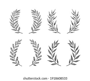 Hand drawn floral wreath and laurel set. Vector frames for cards and invitations