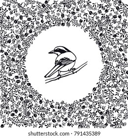 Hand drawn floral wreath with a small bird made in vector. Beautiful floral design elements, ink drawing, logo template