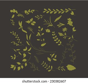 Hand drawn florals collection