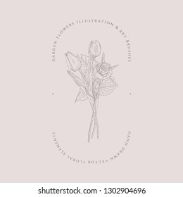 Hand Drawn Floristic Feminine Brand Logo Template, Frame with Delicate Tulip Flowers, Branches, Plants. Decorative Outlined Vector Illustration. Floral Design Element.