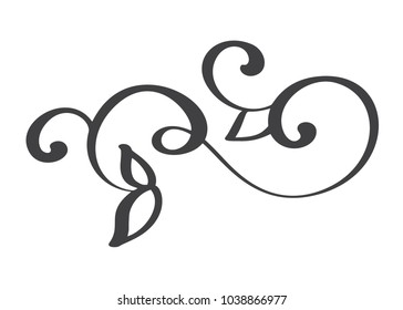 hand drawn flourish Calligraphy elements. Vector illustration