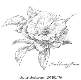 Hand drawn flower