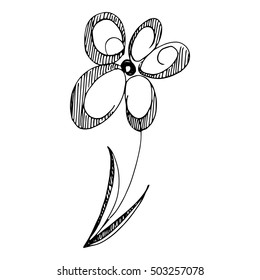  hand drawn flower 