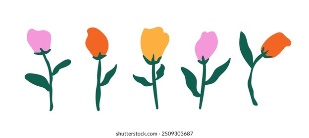 Hand drawn flower. Abstract floral background. Blossom tulip . vector illustration